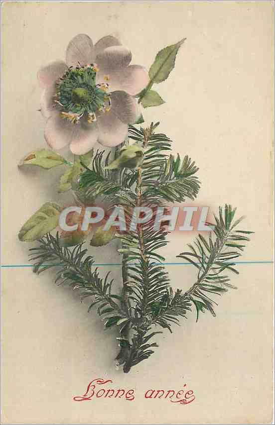 CPA Bonne annee Fleurs