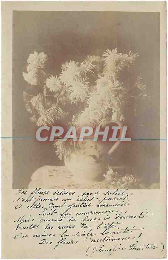 CPA Fleurs