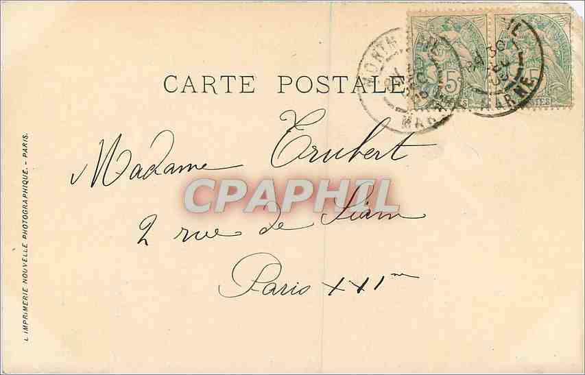 CPA Salon 1904 E Marathon Dans le Parc Chiens — Rückseite