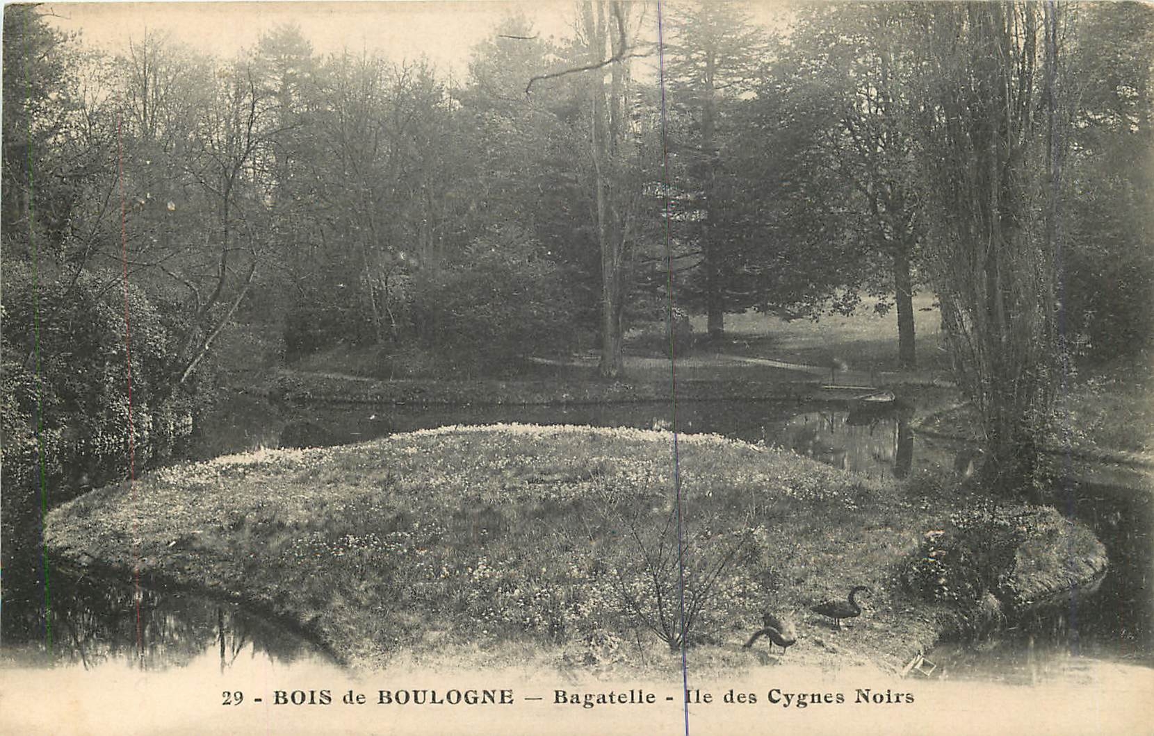 CPA Bois de Boulogne Bagatelle Ile des Cygnes Noirs 