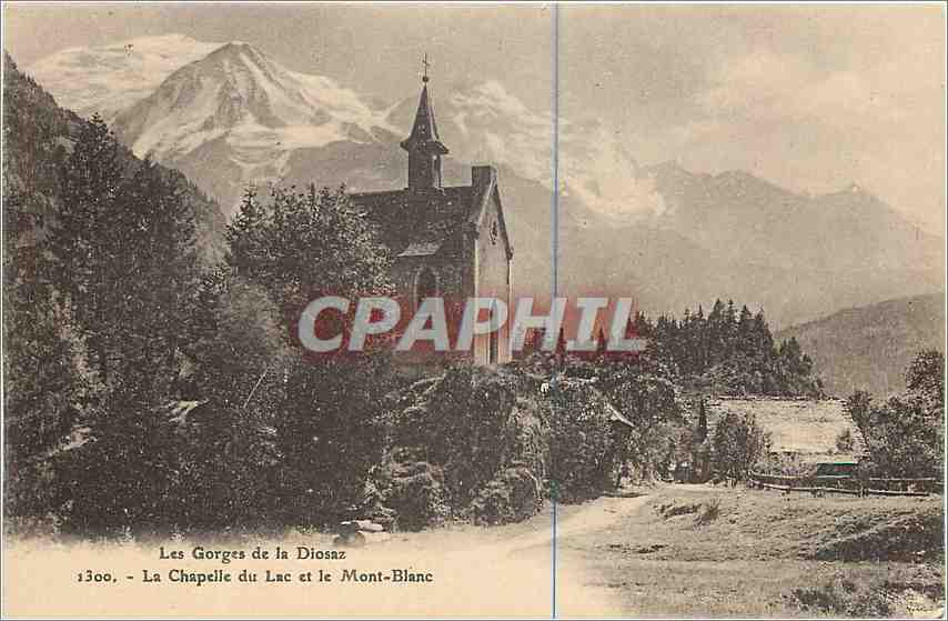 CPA Les Gorges de la Diosaz La Chapelle du Lac et le Mont Blanc 