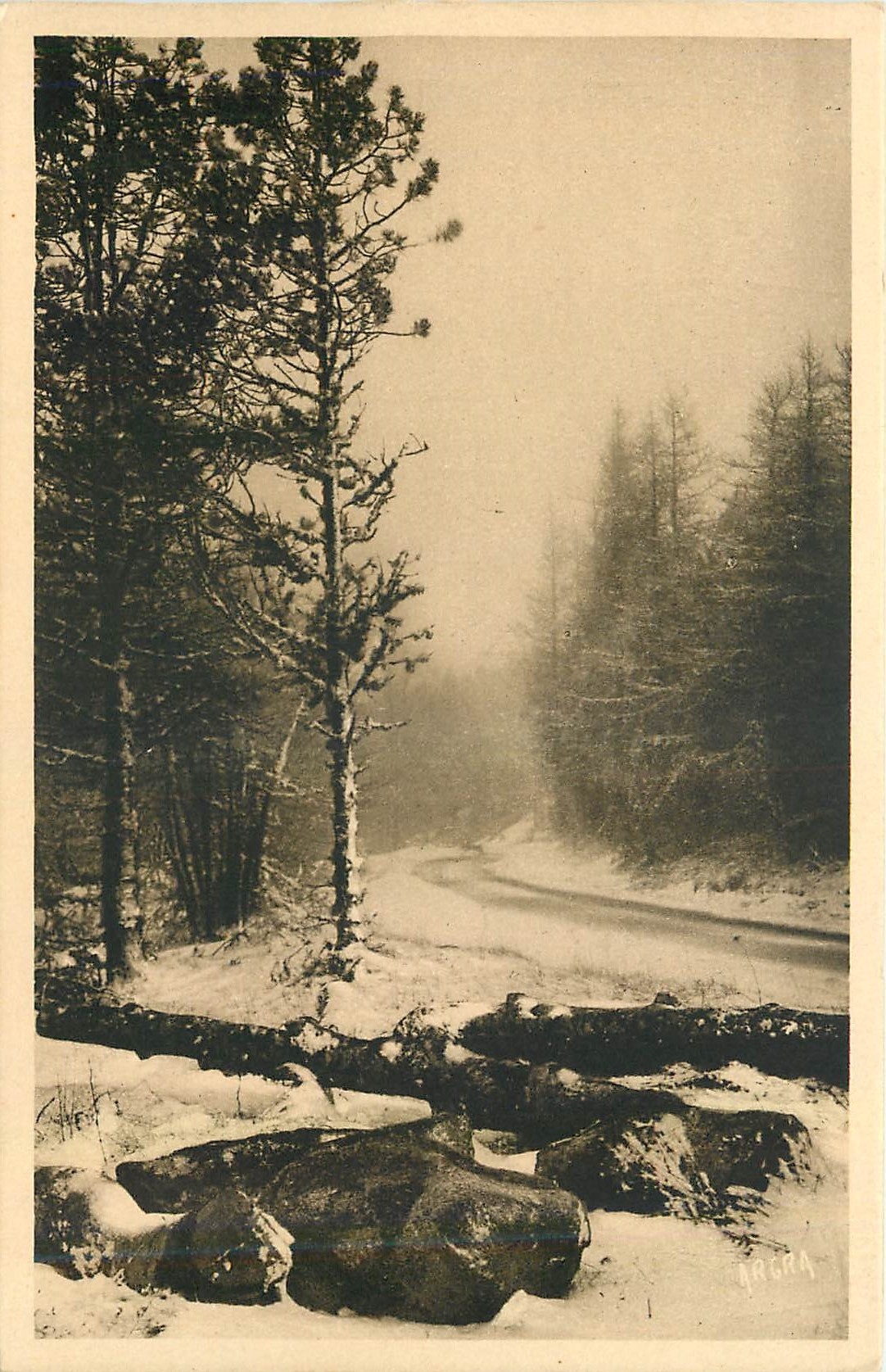 CPA Mont Aigoual La route de Valleraugue au Mont Aigoual 