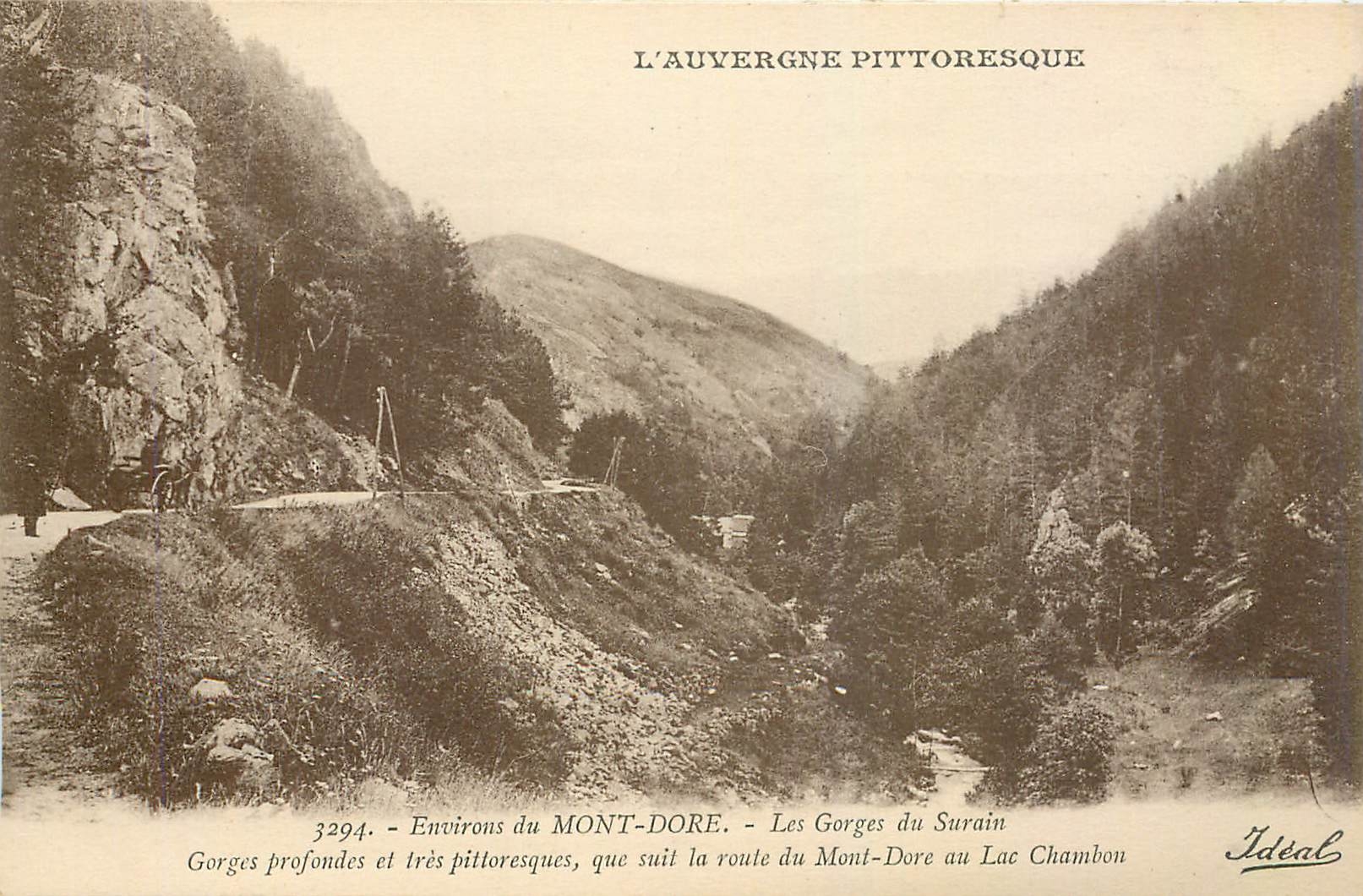 CPA Environs du Mont Dore Les Gorges du Surain 