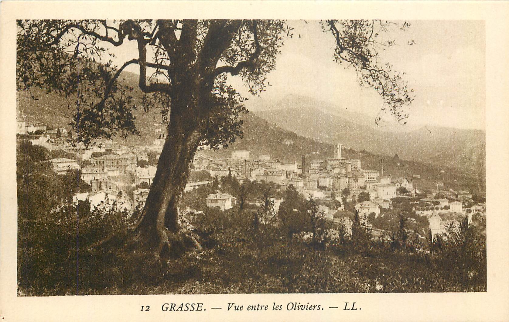 CPA Grasse Vue entre les Oliviers 