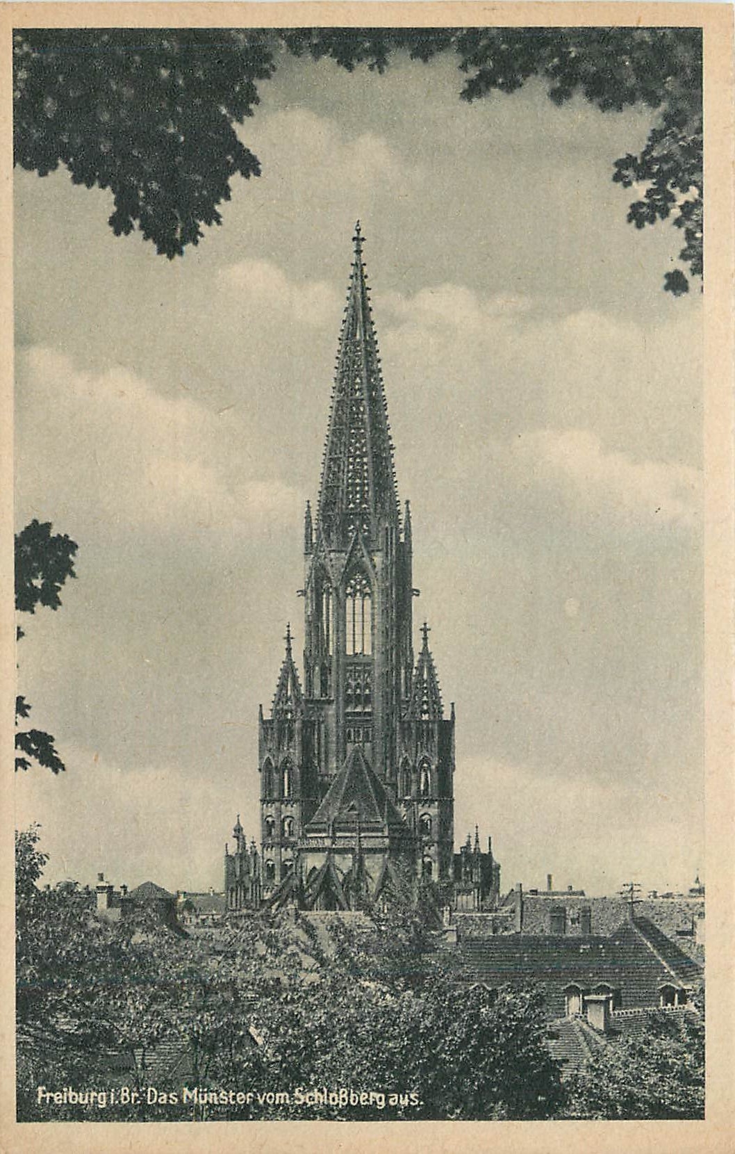CPA Freiburg Das Munster vom Schlossberg aus 