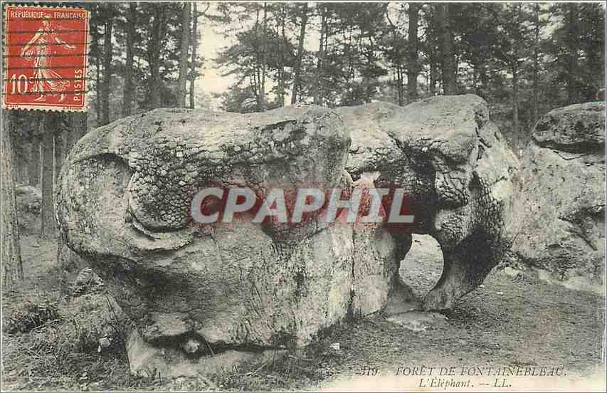 Wald von Fontainebleau — Der Elefant — LL. — Nr. 319