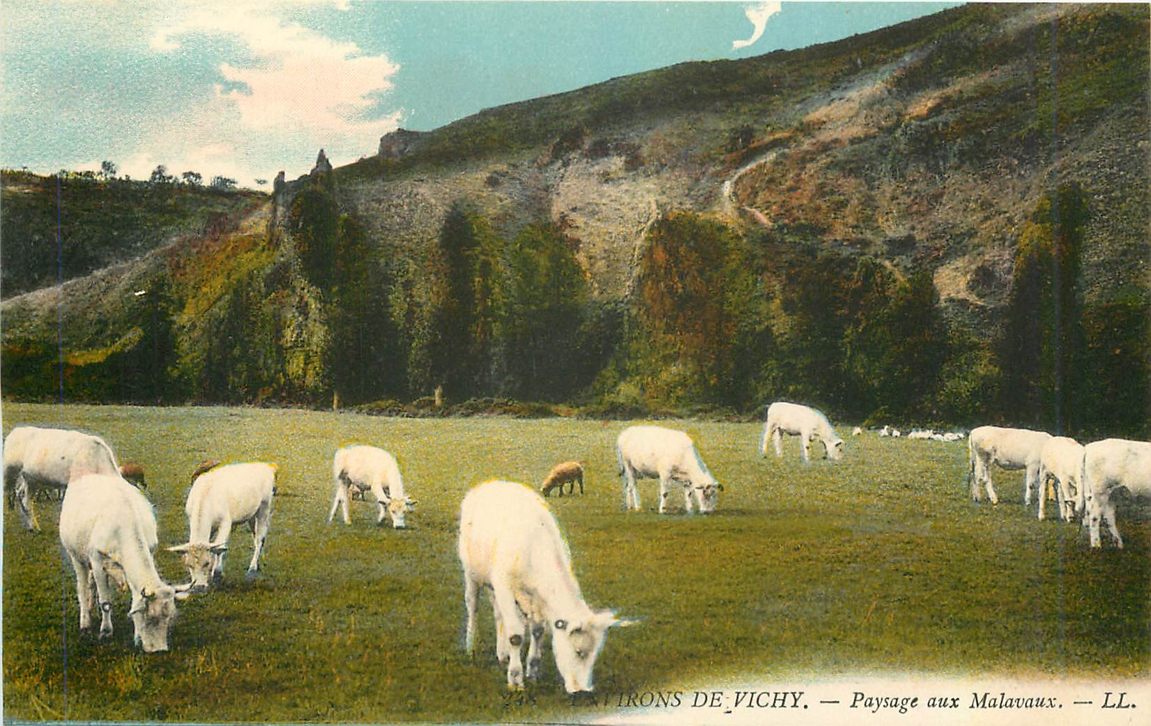 CPA Environs de Vichy Paysage aux Malavaux 