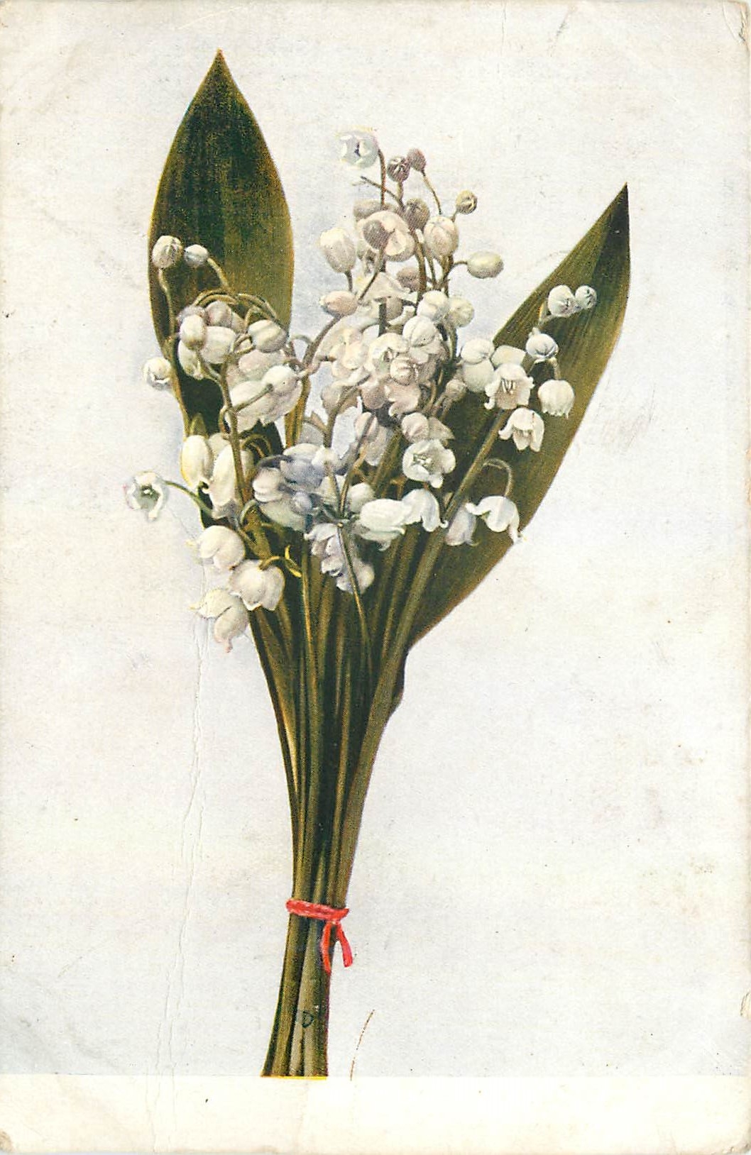 CPA Fleurs