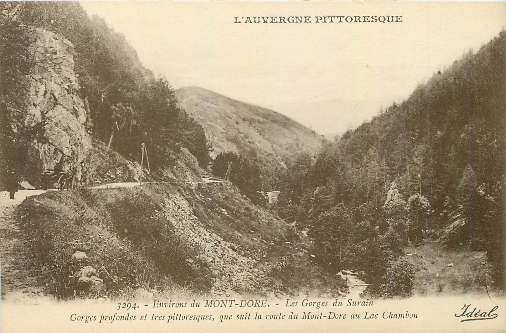CPA Environs du Mont Dore Les Gorges du Surain 