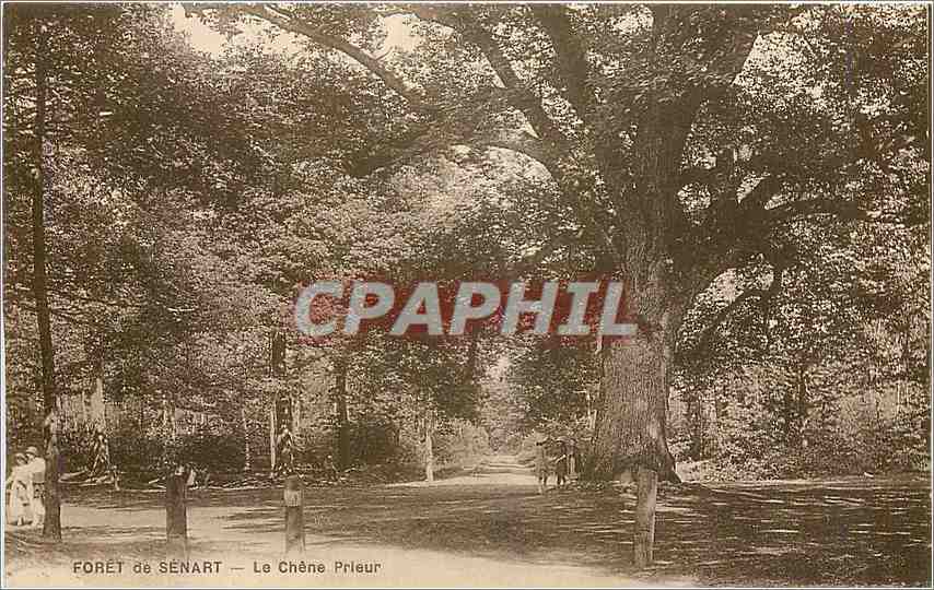 CPA Foret de Senart Le Chene Prieur 