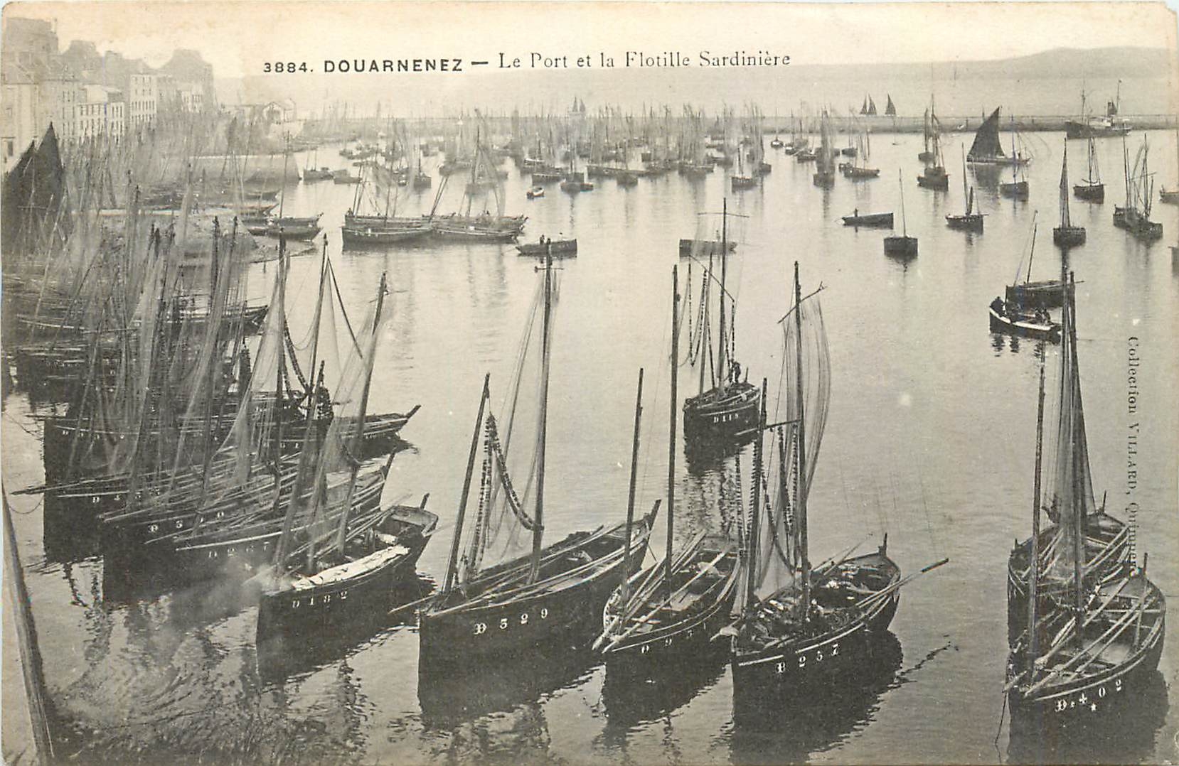 CPA Douarnenez Le Port et la Flotille Sardiniere Bateaux