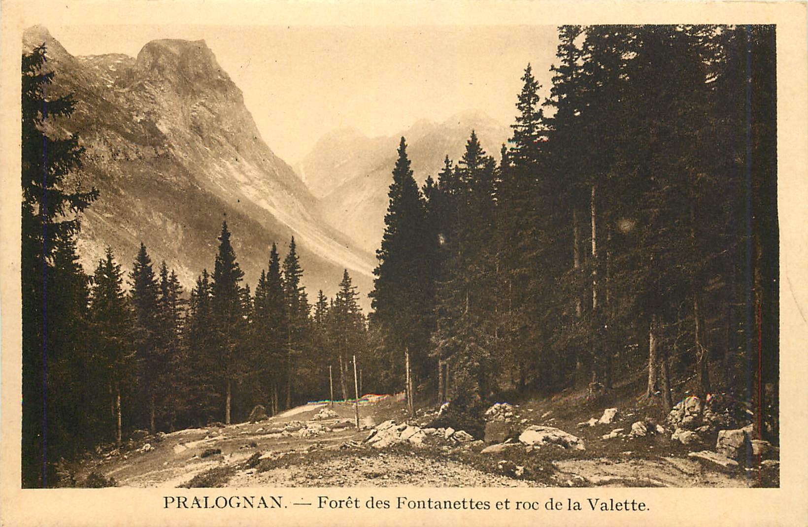 CPA Pralognan Foret des Fontanettes et roc de la Valette 