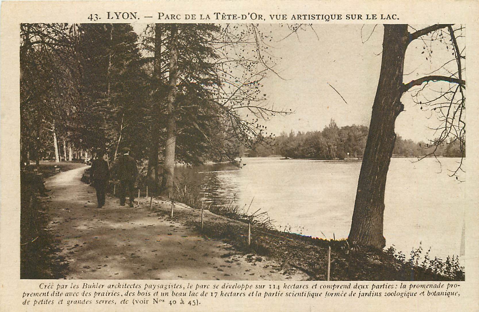 CPA Lyon Parc de la Tete d'Or Vue Artistique sur Le Lac 