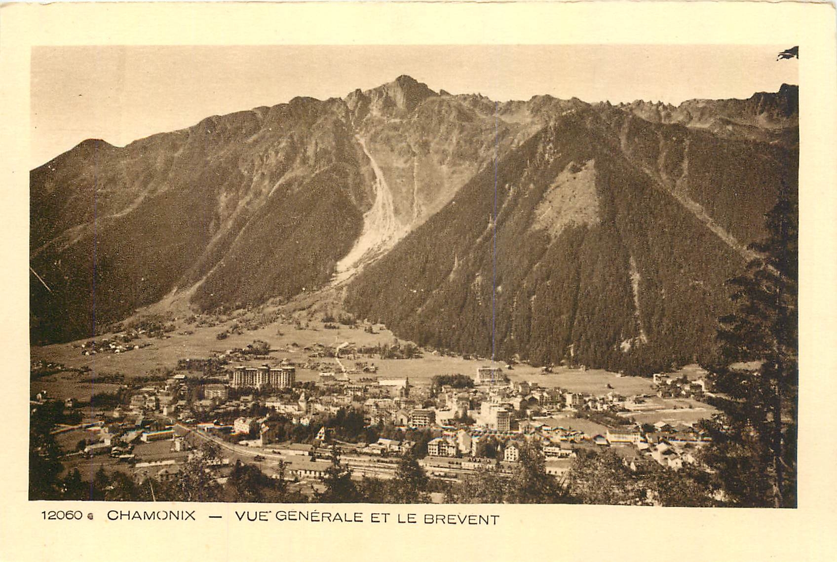CPA Chamonix Vue Generale et le Brevent 