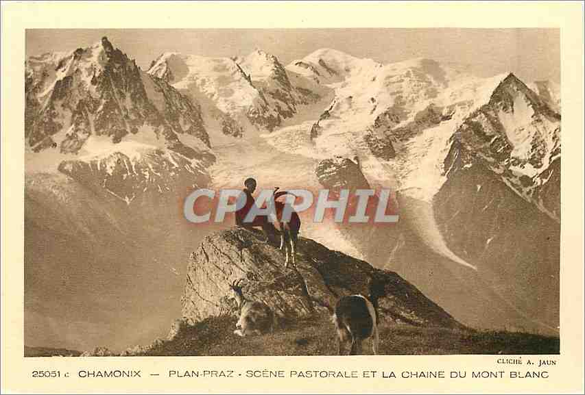 CPA Chamonix Plan Praz Scene Pastorale et la Chaine du Mont Blanc Chevre Chevres