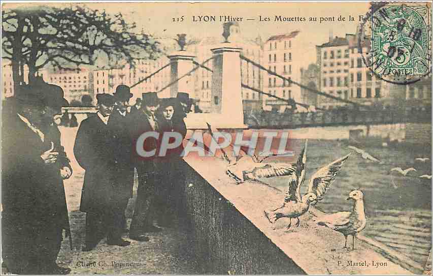 LYON l'Hiver — Les Mouettes au pont de la Guillotière — P. Martel, Lyon