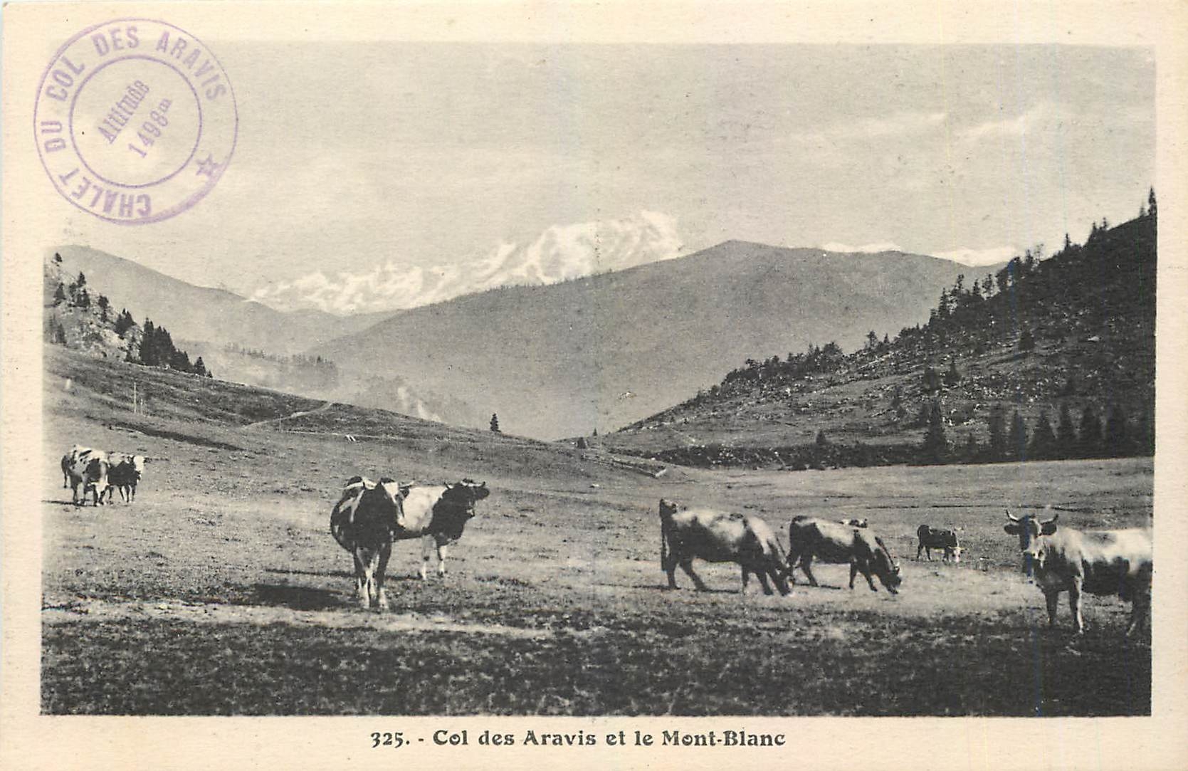 CPA Col des Aravis et le Mont Blanc Vaches