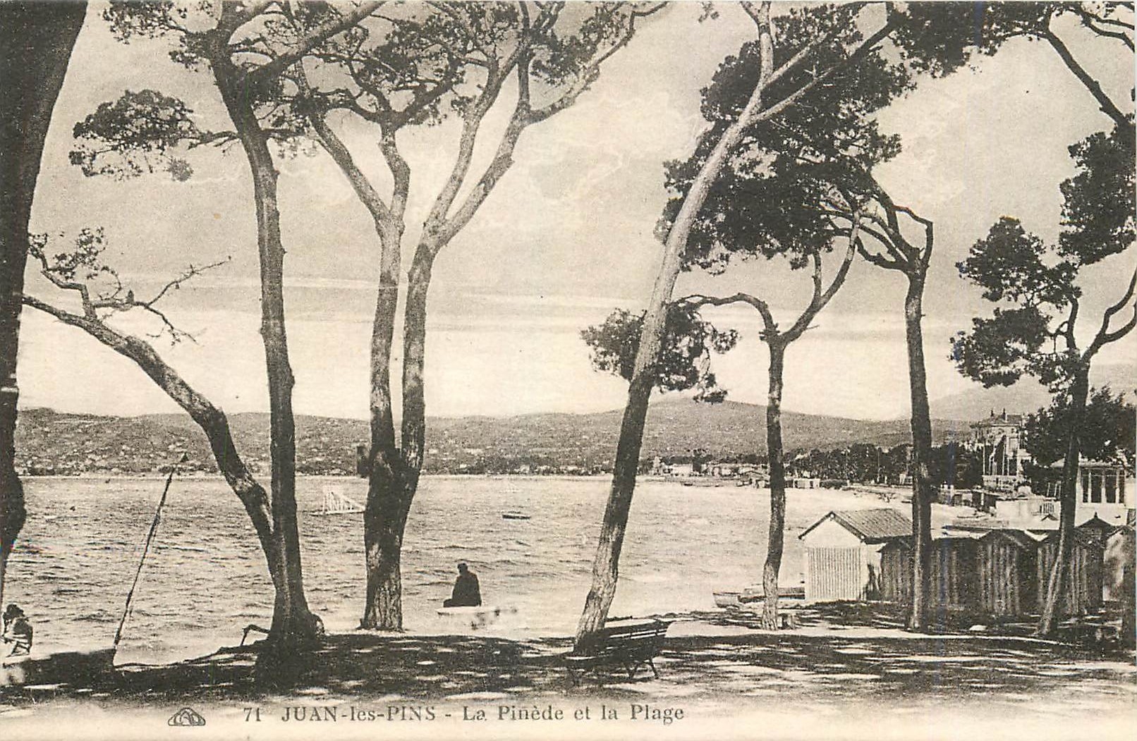 CPA Juan les Pins La Pinede et la Plage 