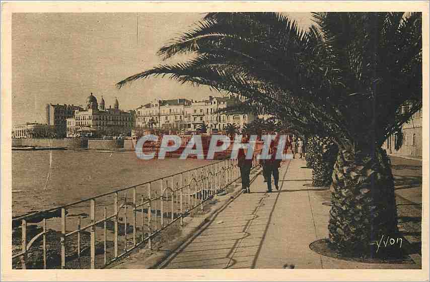 CPA Cote d'Azur Saint Raphael Var Boulevard Felix Martin 