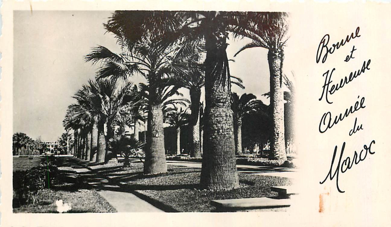 CPA Bonne et Heureuse Annee du Maroc 