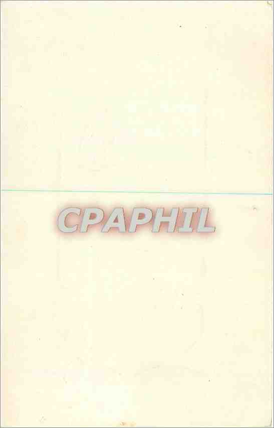 CPA Souvenir d'Algerie Chameau — Rückseite