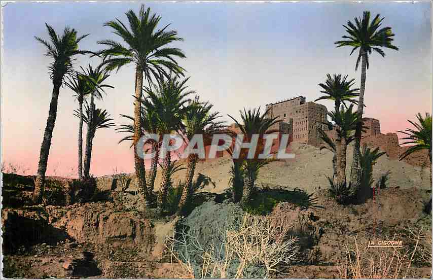 CPM Sud Marocain Kasbah de Tifoultout 