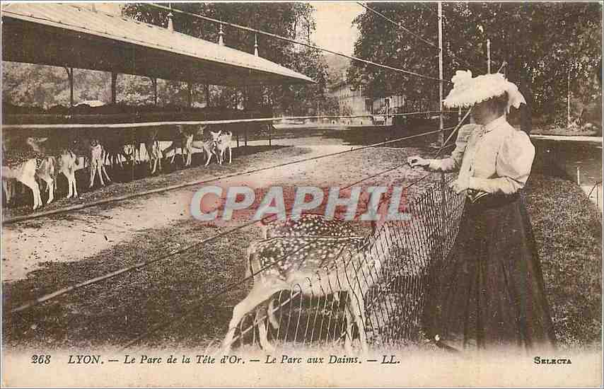 LYON — Le Parc de la Tête d'Or — Le Parc aux Daims — LL. — SELECTA — Nr. 268
