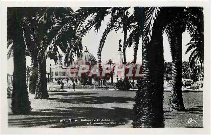 CPA Nice Palais de la Jetee a travers les Palmiers 