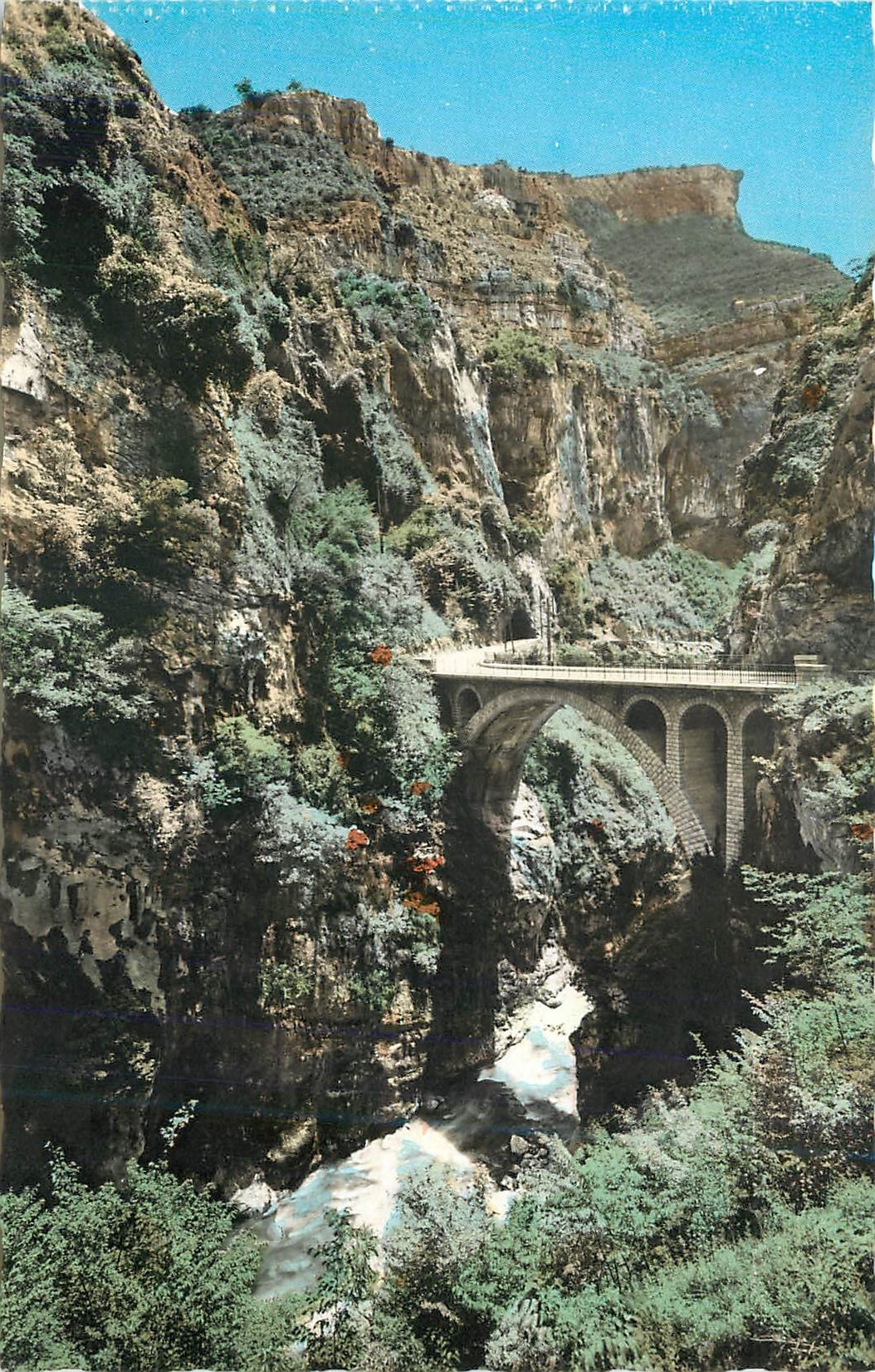 CPA Excursion des Gorges du Loup Le Pont de l'Abime 
