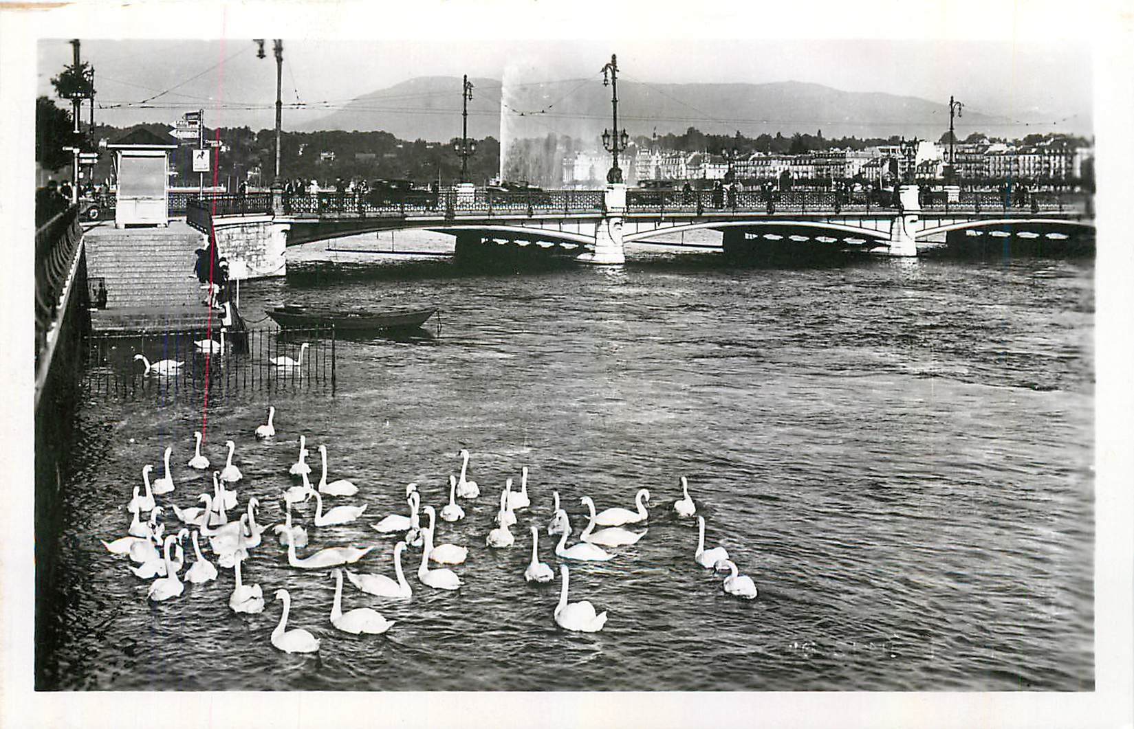 CPA Geneve Le Lac Leman et le Jet d'Eau Cygnes