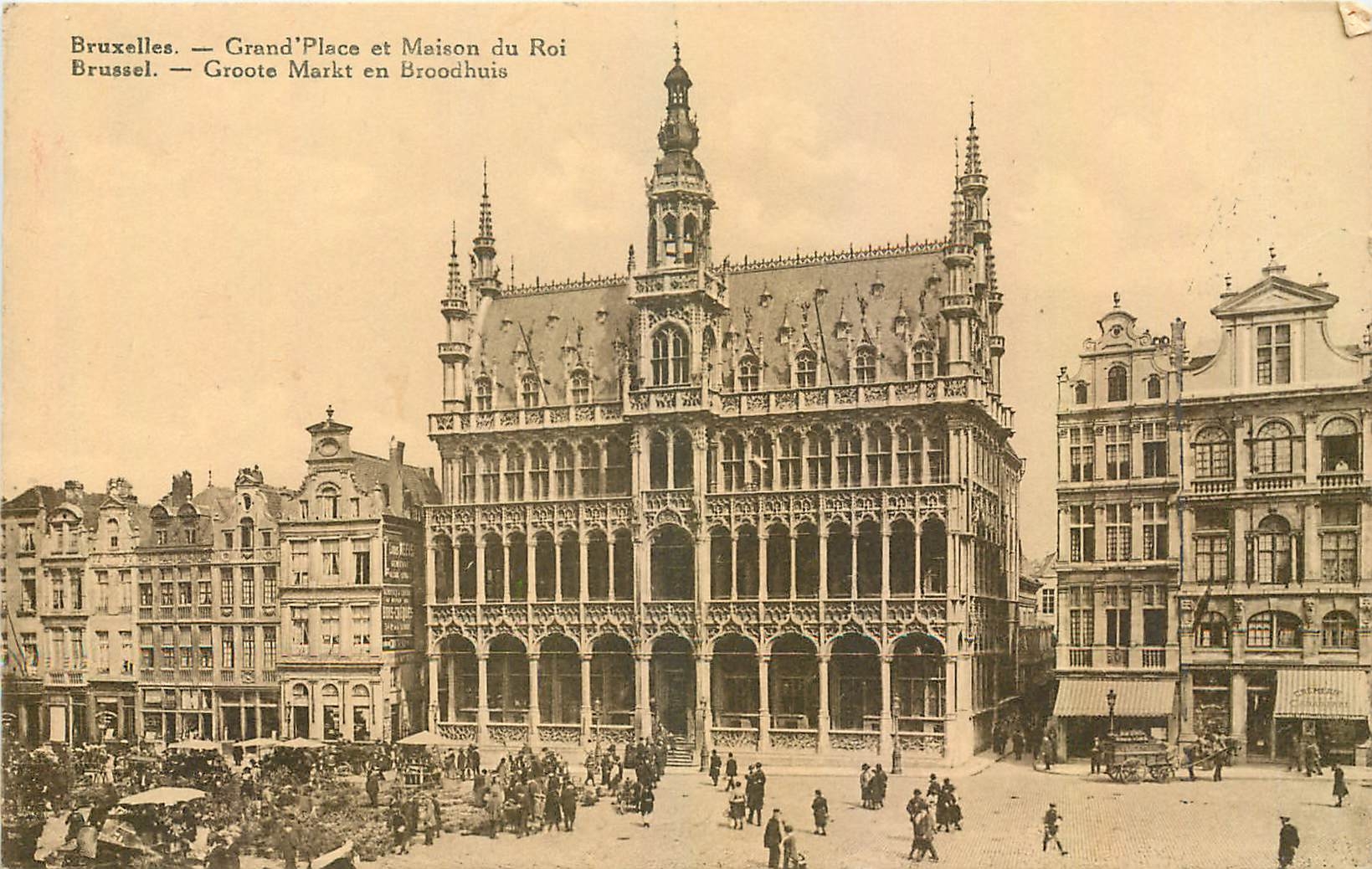 CPA Bruxelles Grand Place et Maison du Roi 