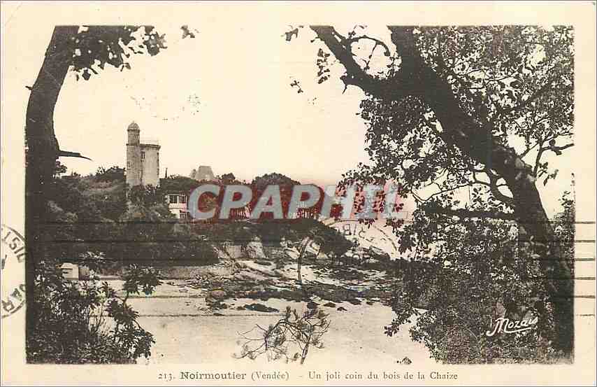 CPA Noirmoutier Vendee Un joli coin du bois de la Chaize 