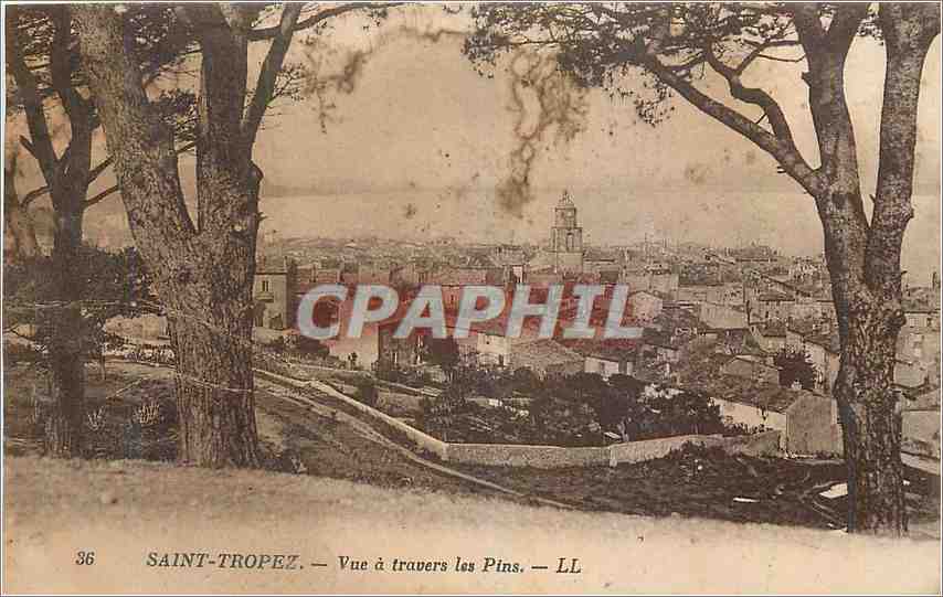 CPA Saint Tropez Vue a travers les Pins 