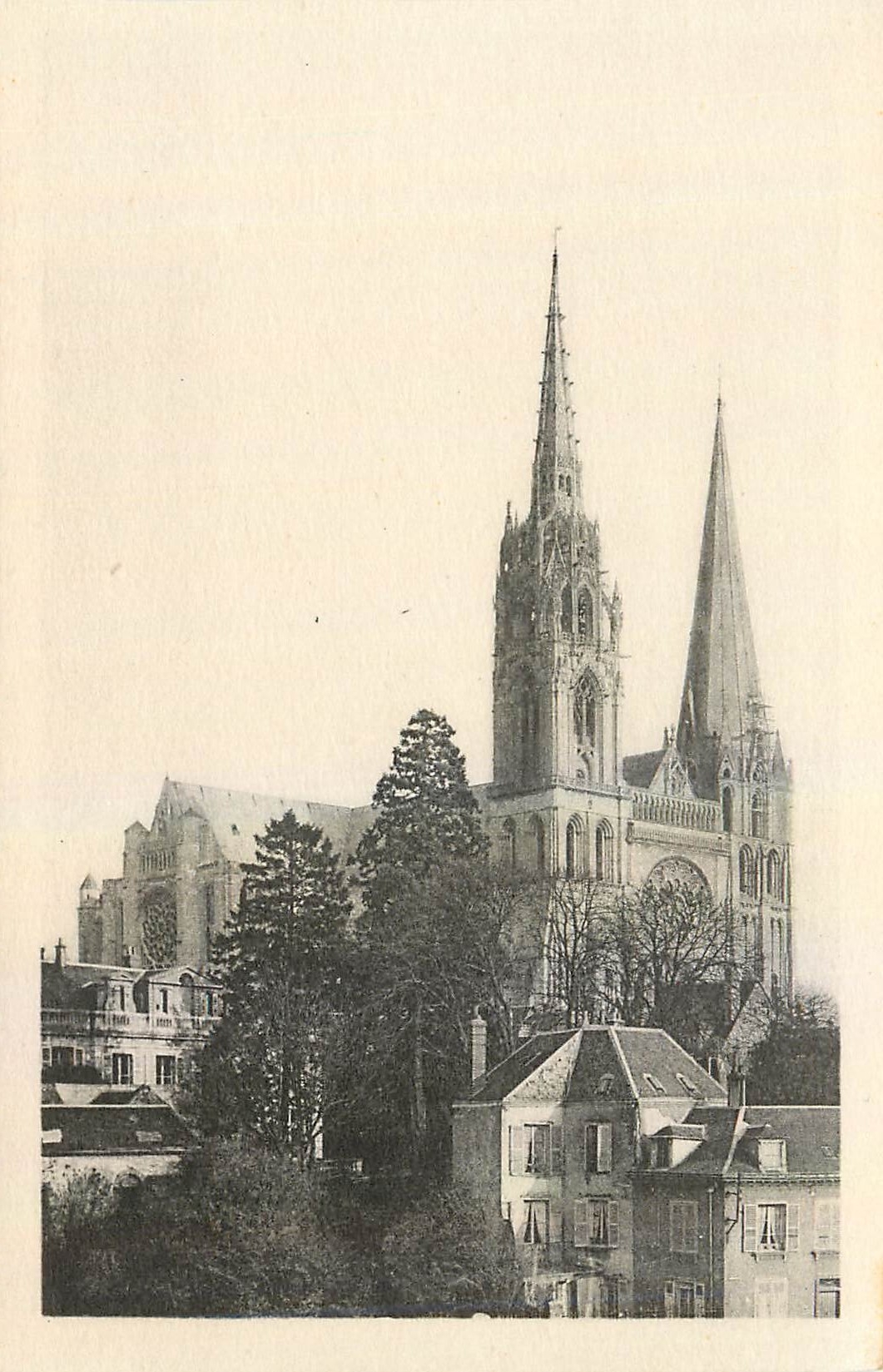 CPA Cathedrale de Chartres La Cathedrale 