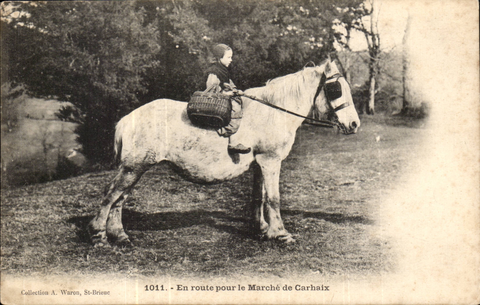 Gretagne- En route pour la Marche de Carhaix -Cheval CPA Horse