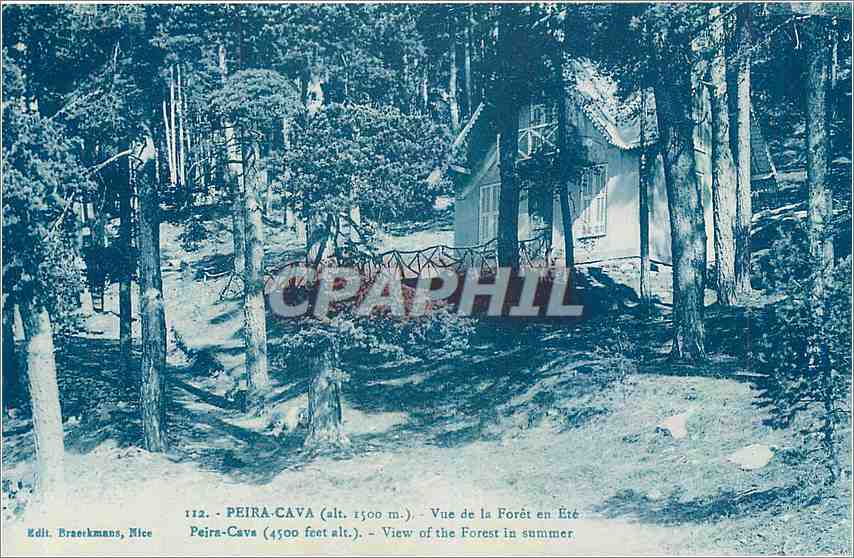 CPA Peira Cava Vue de la Foret en Ete Peira Cava 