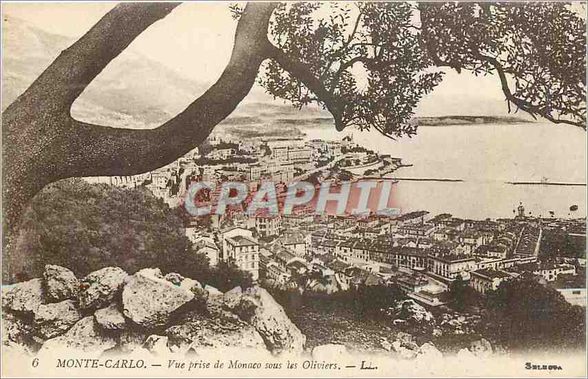 CPA Monte Carlo Vue prise de Monaco sous les Oliviers 