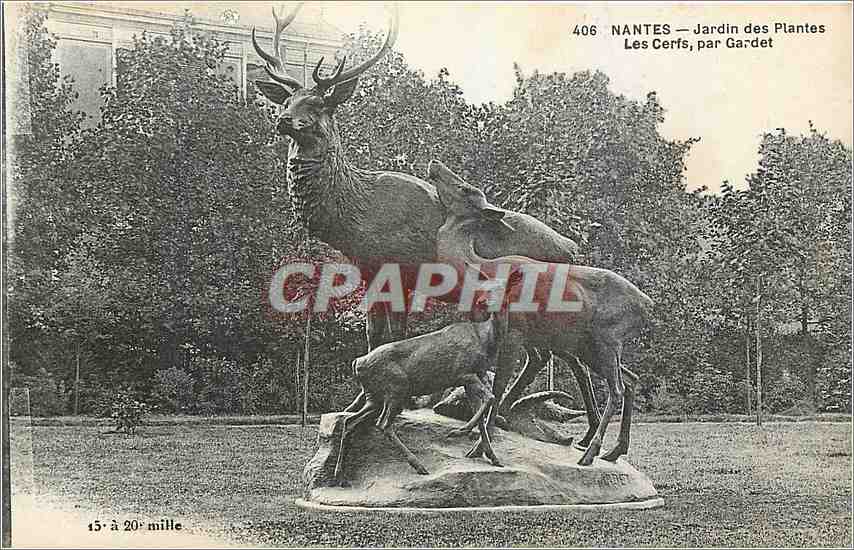 CPA Nantes Jardin des Plantes Les Cerfs par Gardet 