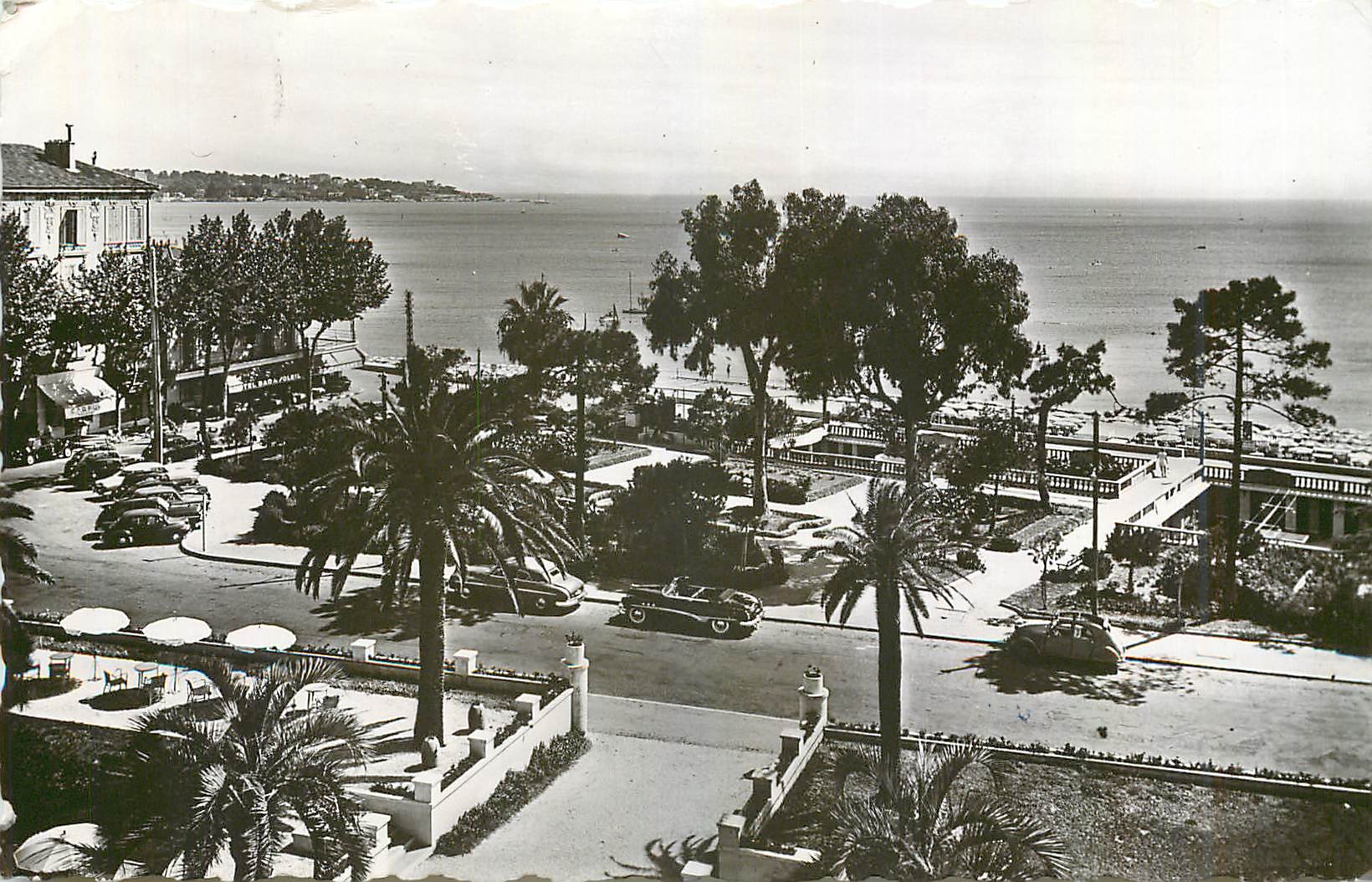 CPM Juan les Pins AM Les Nouveaux Jardins 