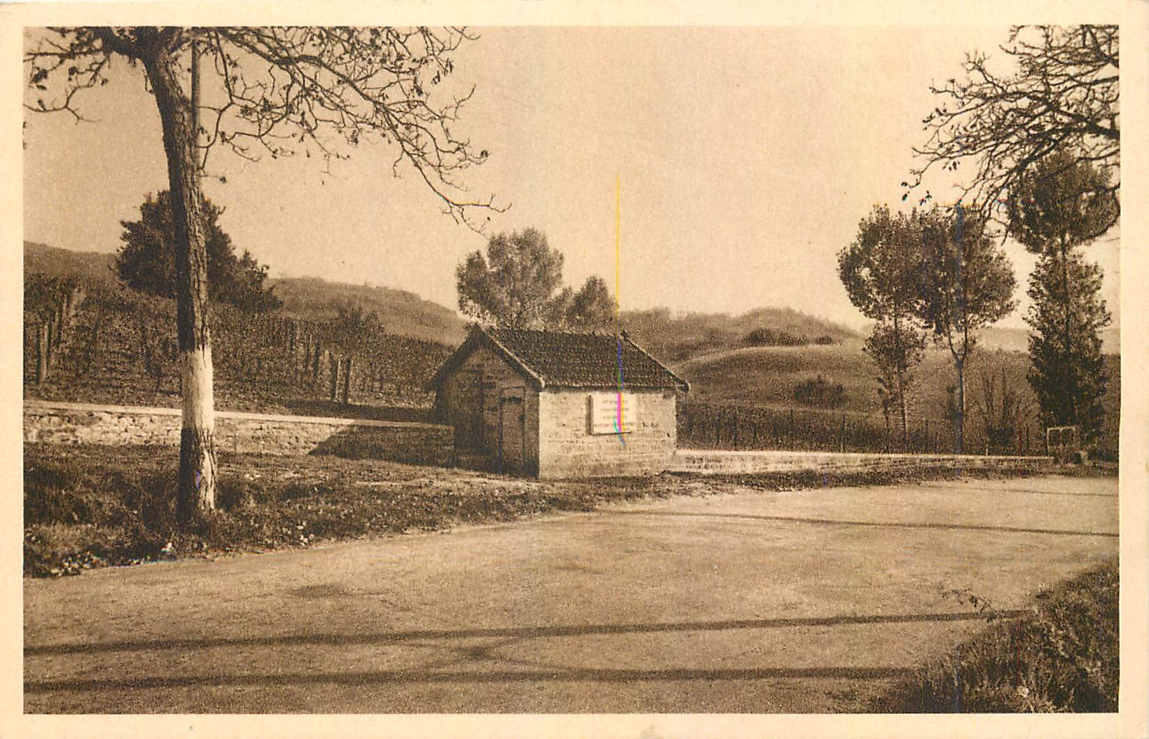 CPA Arbois Montigny Jura La Vigne Historique de Pasteur 