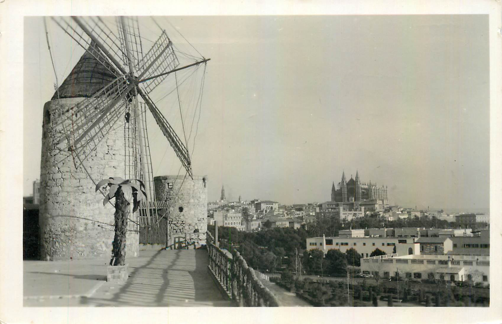 CPA Paseo Maritimo Palma de Mallorca Moulin a vent