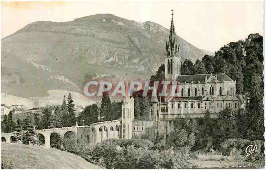 CPM Lourdes Vue generale de la Basilique 