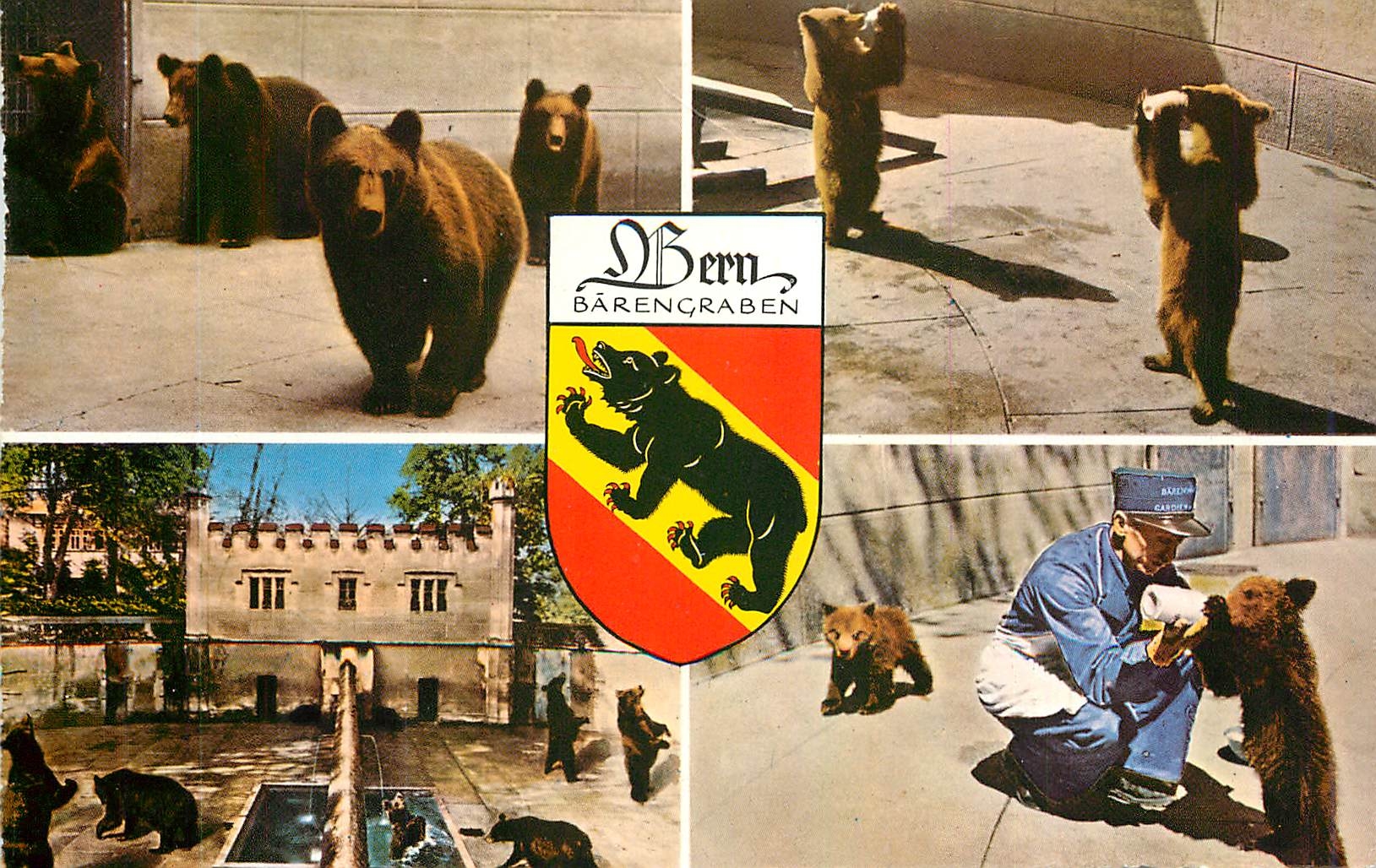 CPM Berne Der Barengraben La Fosse aux ours Bear Pits Ours