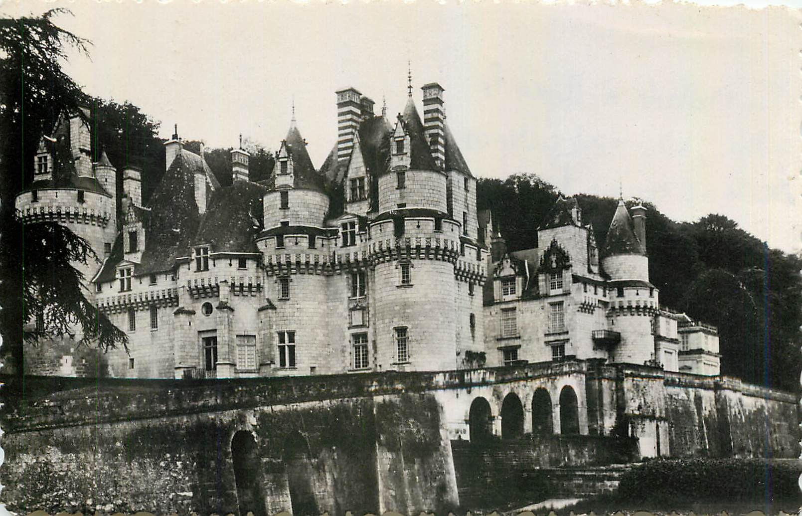 CPM Les Chateaux de la Loire Chateau de Rigny Usse 