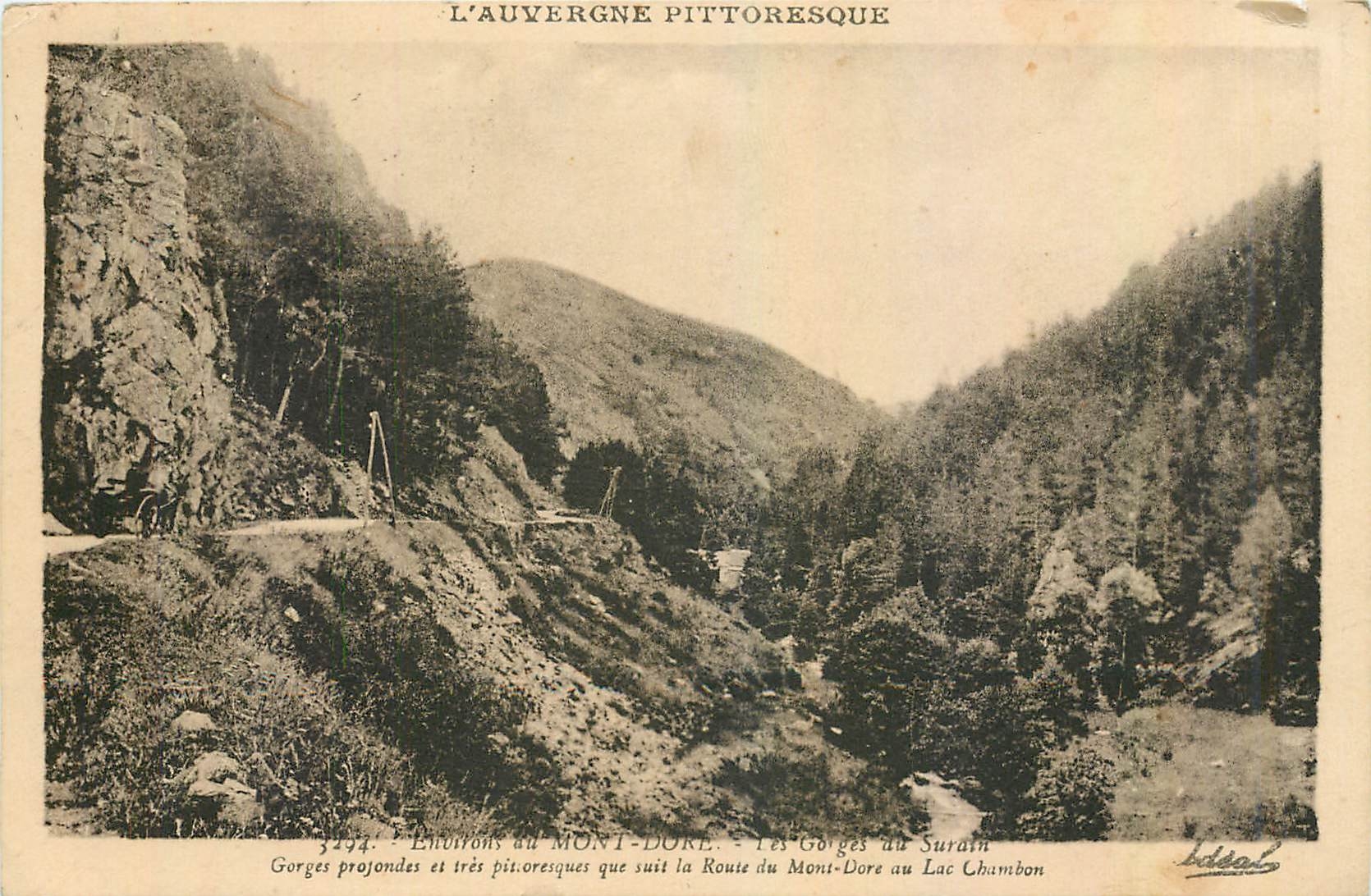 CPA Environs du Mont Dore Les Gorges au Surain 