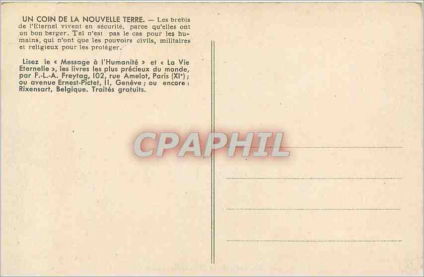 CPA Un coin de la Nouvelle Terre Berger Moutons — Back