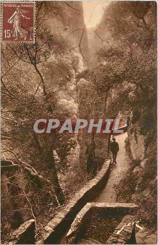 CPA Amelie les Bains PO Dans les Gorges du Mondony 
