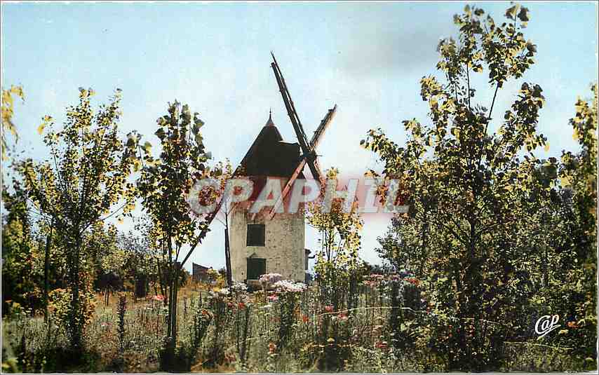 CPM En Vendee Au pays de Monts Le Vieux Moulin 