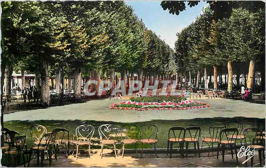 CPM Vichy Allier Les Allees ombragees dans le Parc des Sources 