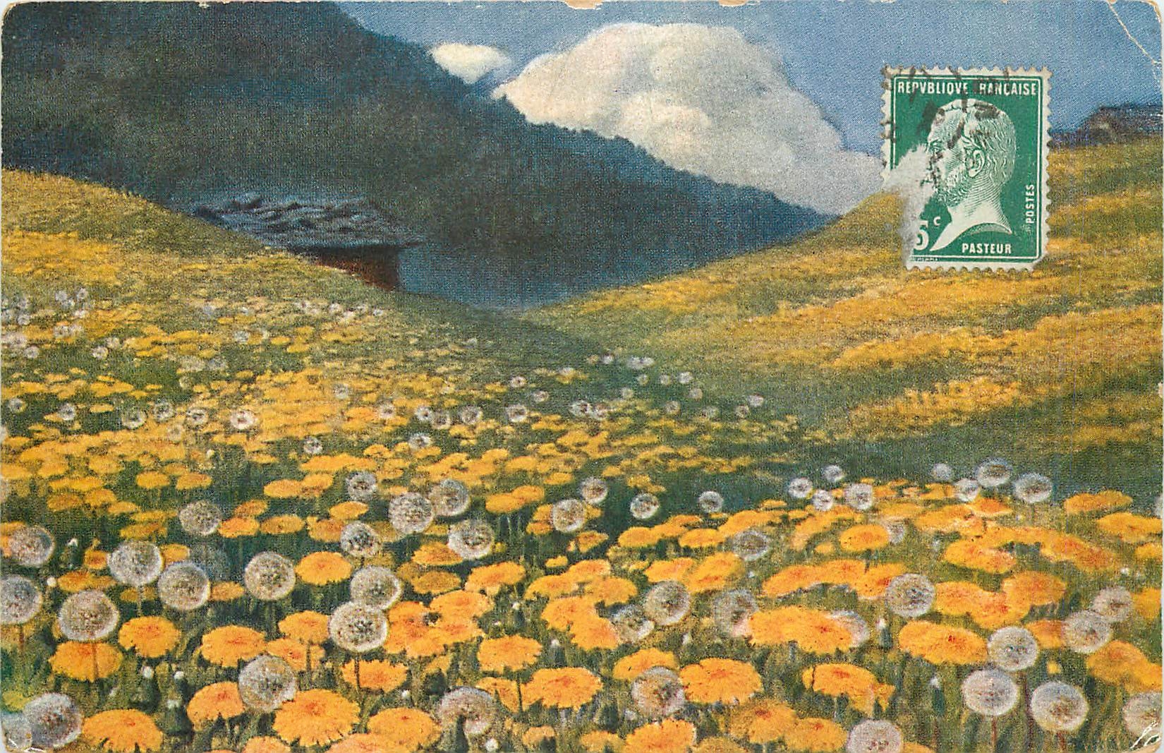 CPA Fleurs